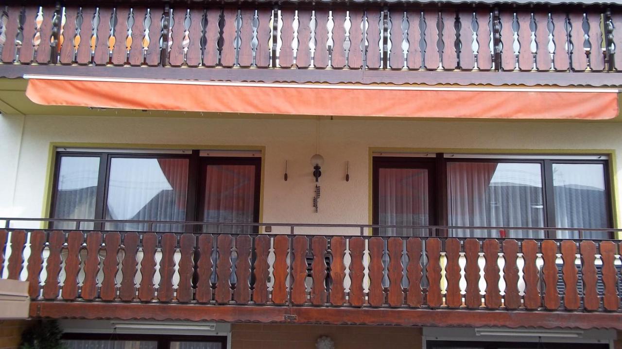 Ferienwohnung Keine Monteurvermietung Naehe Heidelberg Hockenheim Bds Anlage Philippsburg Extérieur photo